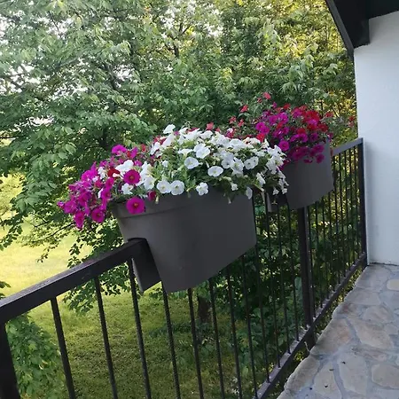 Stari Apartment Trsic