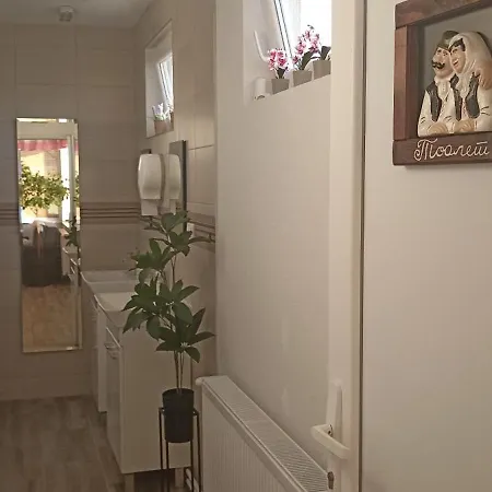 Apartment Stari Trsic