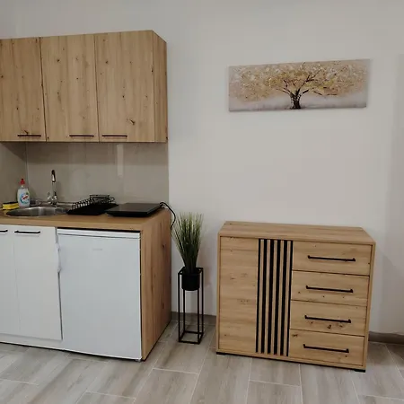 Apartment Stari *